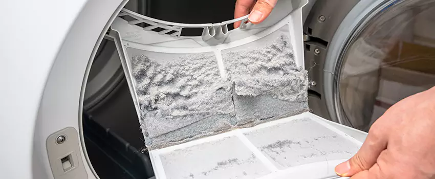 Best Dryer Lint Removal Company in Arroyo Grande, California
