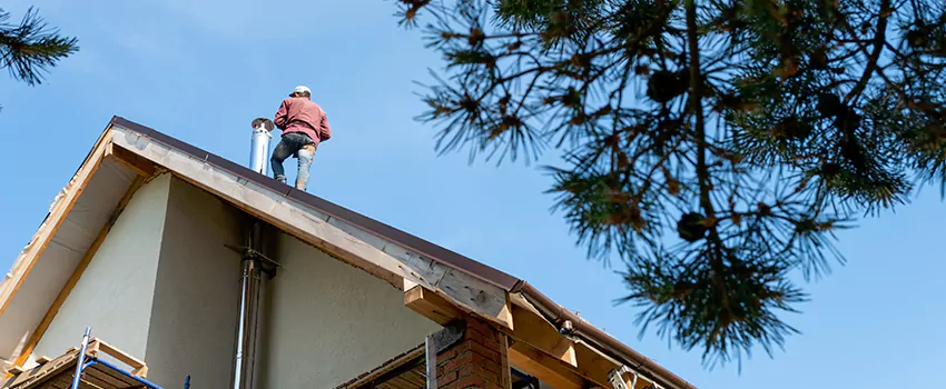 Birds Removal Contractors from Chimney in Arroyo Grande, CA