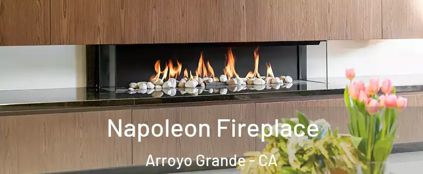  Napoleon Fireplace Arroyo Grande - CA